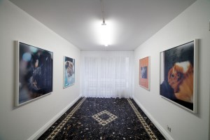 DMS_JP_InstallView_1_web