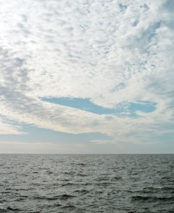 big_34912765_0_450-552