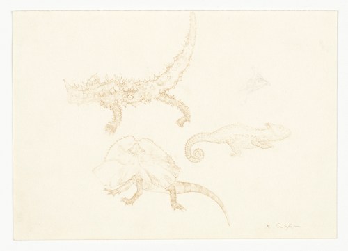 HQ16-CS9756D Thorny devil and dragons